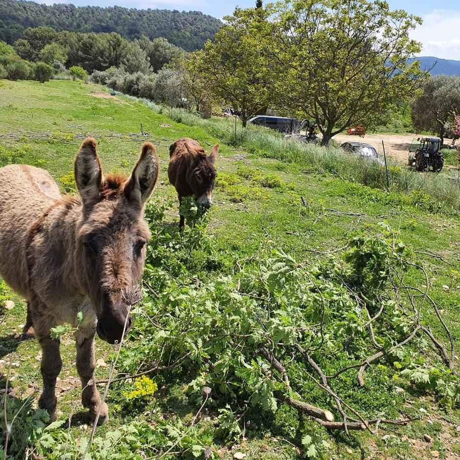 Bastide Bellugue Maison D'Hotes Reseau Bienvenue A La Ferme A 3 Minutes De Lourmarin กาเดอเนต์ ภายนอก รูปภาพ
