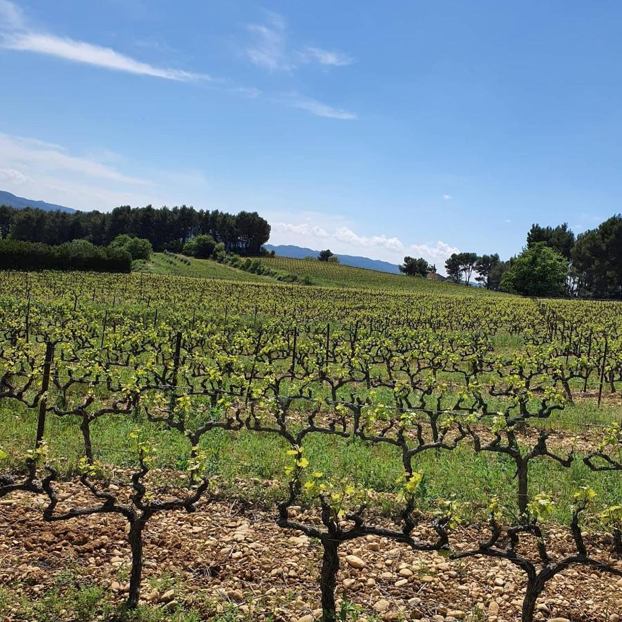 Bastide Bellugue Maison D'Hotes Reseau Bienvenue A La Ferme A 3 Minutes De Lourmarin กาเดอเนต์ ภายนอก รูปภาพ