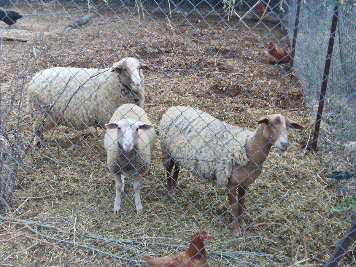 Bastide Bellugue Maison D'Hotes Reseau Bienvenue A La Ferme A 3 Minutes De Lourmarin กาเดอเนต์ ภายนอก รูปภาพ