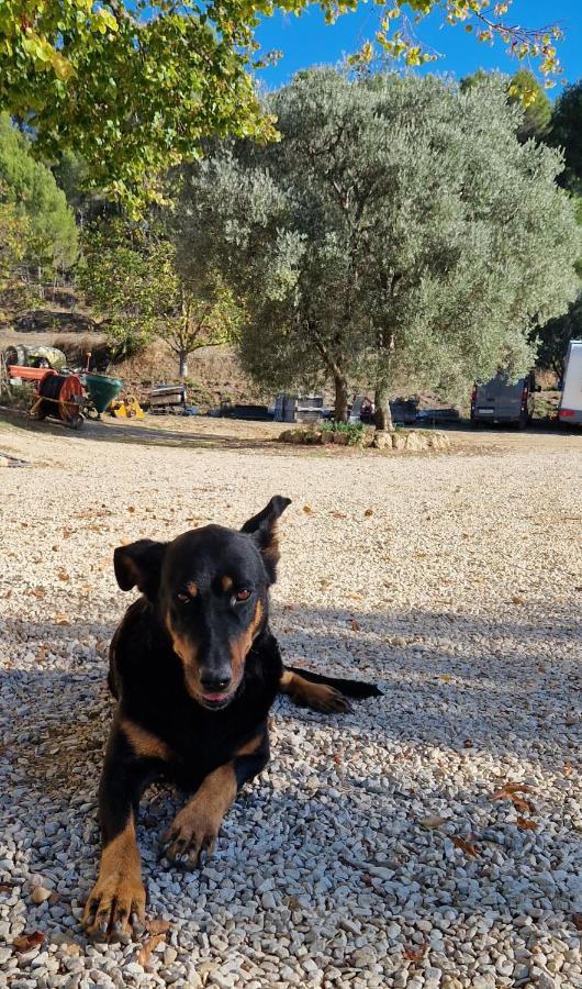 Bastide Bellugue Maison D'Hotes Reseau Bienvenue A La Ferme A 3 Minutes De Lourmarin กาเดอเนต์ ภายนอก รูปภาพ