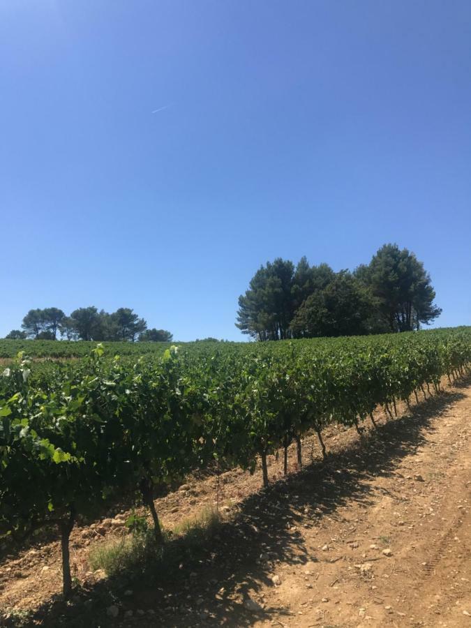 Bastide Bellugue Maison D'Hotes Reseau Bienvenue A La Ferme A 3 Minutes De Lourmarin กาเดอเนต์ ภายนอก รูปภาพ