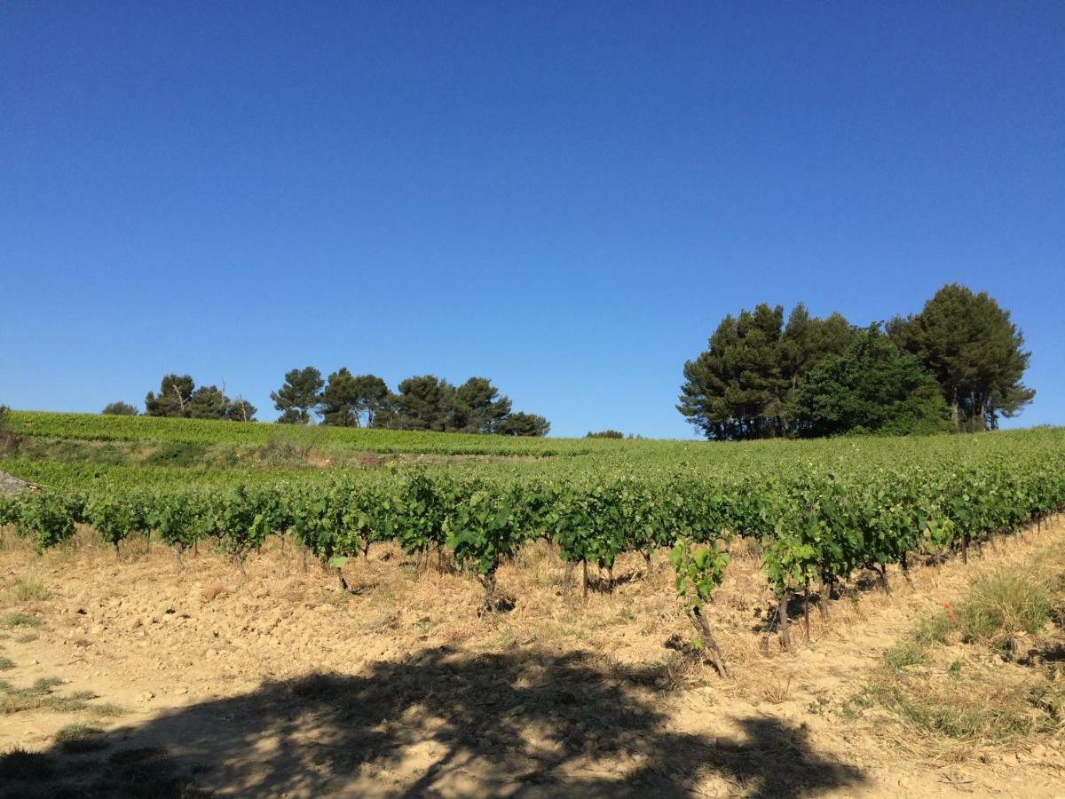 Bastide Bellugue Maison D'Hotes Reseau Bienvenue A La Ferme A 3 Minutes De Lourmarin กาเดอเนต์ ภายนอก รูปภาพ