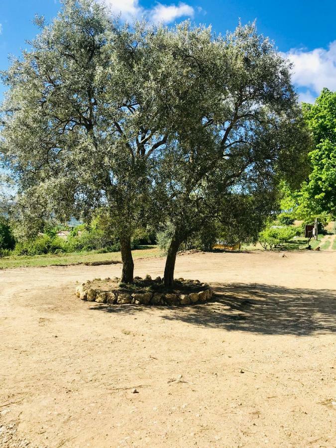 Bastide Bellugue Maison D'Hotes Reseau Bienvenue A La Ferme A 3 Minutes De Lourmarin กาเดอเนต์ ภายนอก รูปภาพ